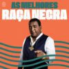 Pen Drive com Músicas - RAÇA NEGRA - Image 1